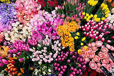 2023年3月Steam硬件调查：RTX 3060登顶显卡榜